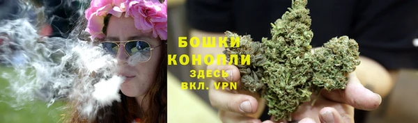 соль ск Абаза