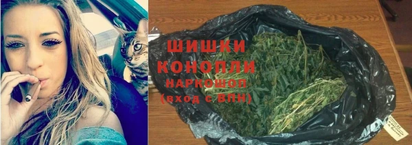 соль ск Абаза