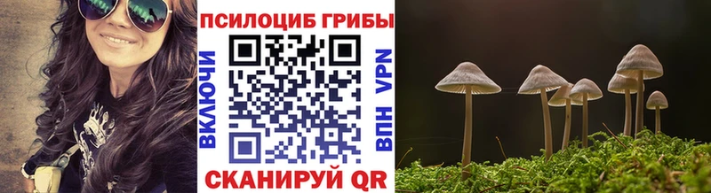 Галлюциногенные грибы MAGIC MUSHROOMS  Сорск 